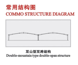 雙山型雙跨結(jié)構(gòu)
